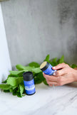 Person holding a container of Tree Co. product with green leaves and a white marble surface in the background