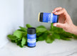 Hand holding a blue container labeled 'Bee Cool' with green leaves in the background