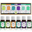 six essential oils from balance set on white background